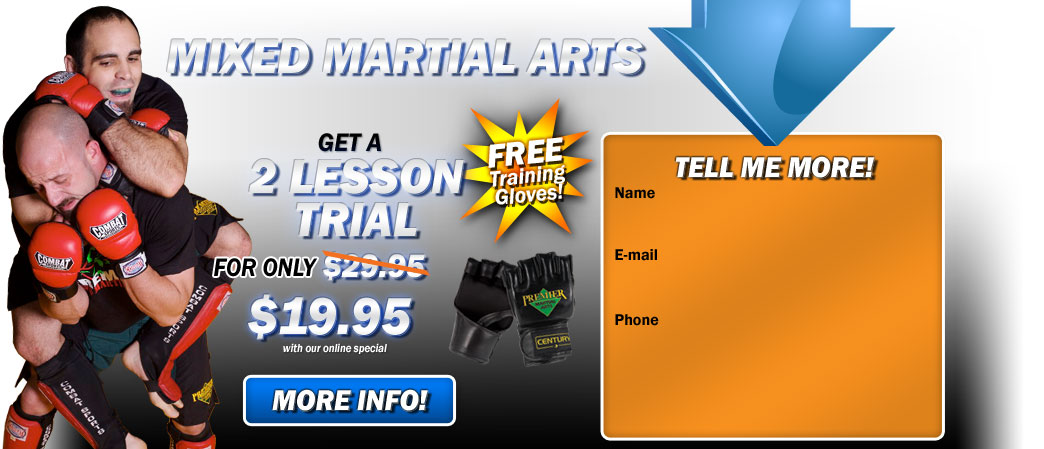 Mixed Martial Arts and kickboxing Seagoville 2 lesson trial for $19.95!